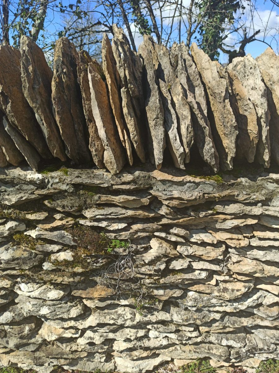 Choin de Villebois, pierres de carrière