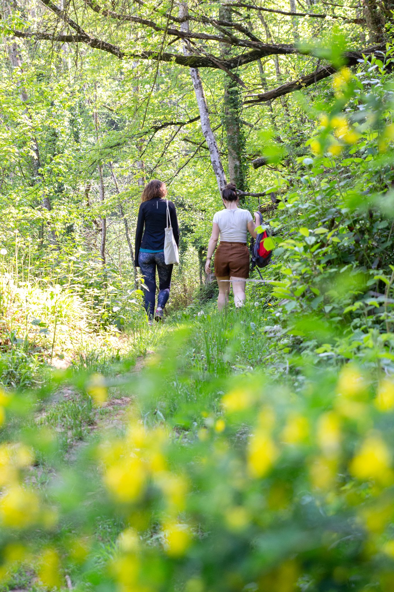 Balades faciles en forêt dans le Bugey (Ain) pour un week-end détente près de Lyon