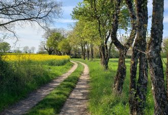 Chemin des lavandières