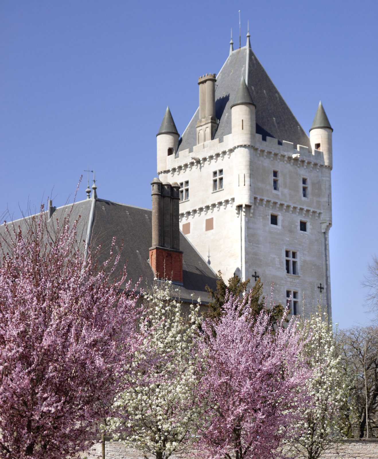 Le château de Chazey-sur-Ain, à 10 min de Pérouges la cité médiévale à l'Est de Lyon se visite avec l'office de tourisme en exclusivité.