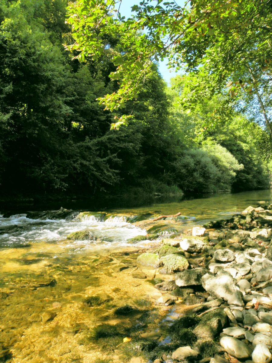 cours d'eau de l'Albarine, rapides