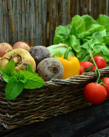 marché régulier et marchés alimentaires